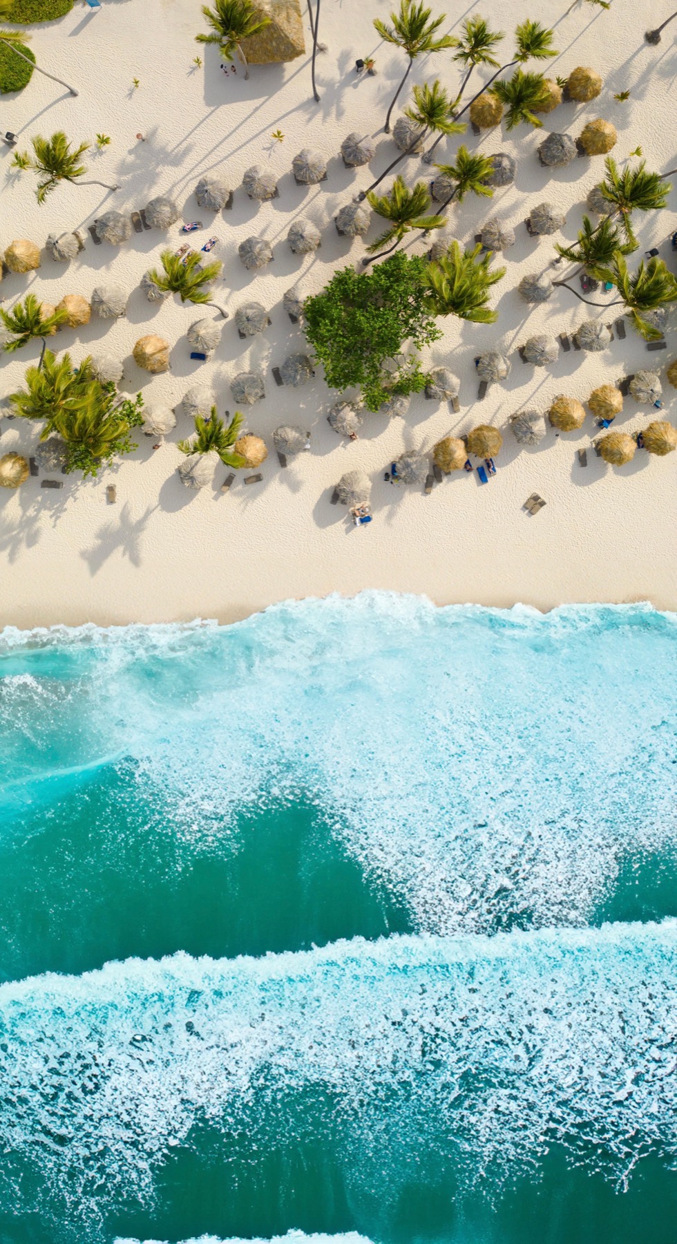 Aerial view of palm-lined beach and turquoise surf