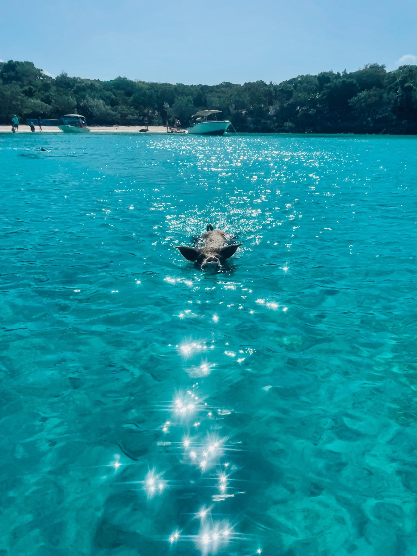 Crystal-clear turquoise water in the Caribbean
